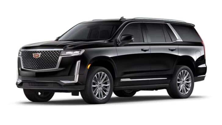 Black SUVs
