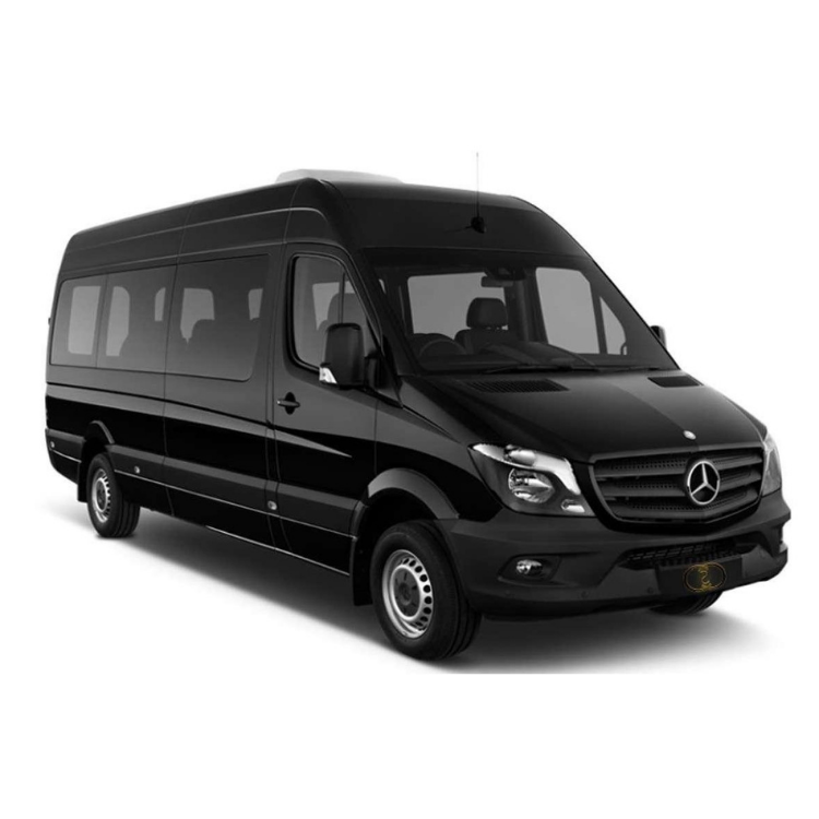 Limousine Service