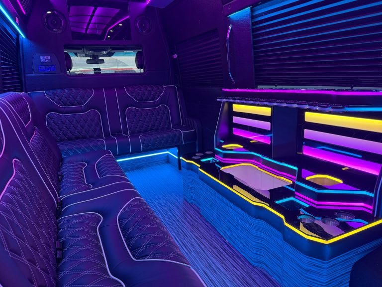 Mercedes-Benz Sprinter Van – Limo Van – LV-12 — gallery