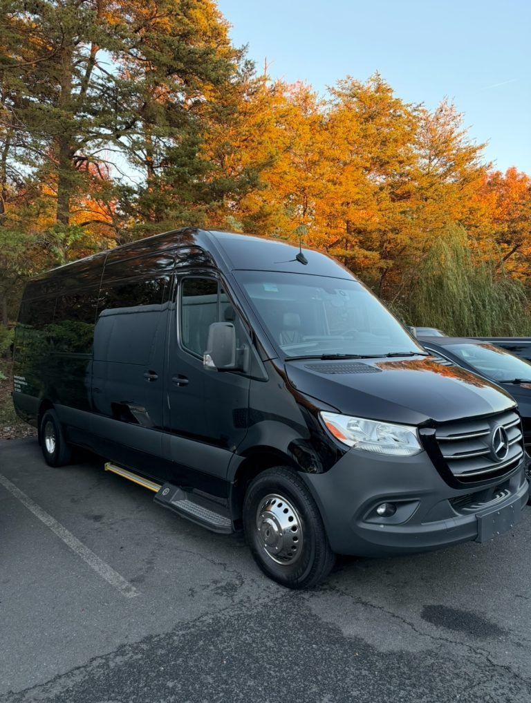 Mercedes-Benz Sprinter Van – Spacious Style & Table – SS-10 — gallery